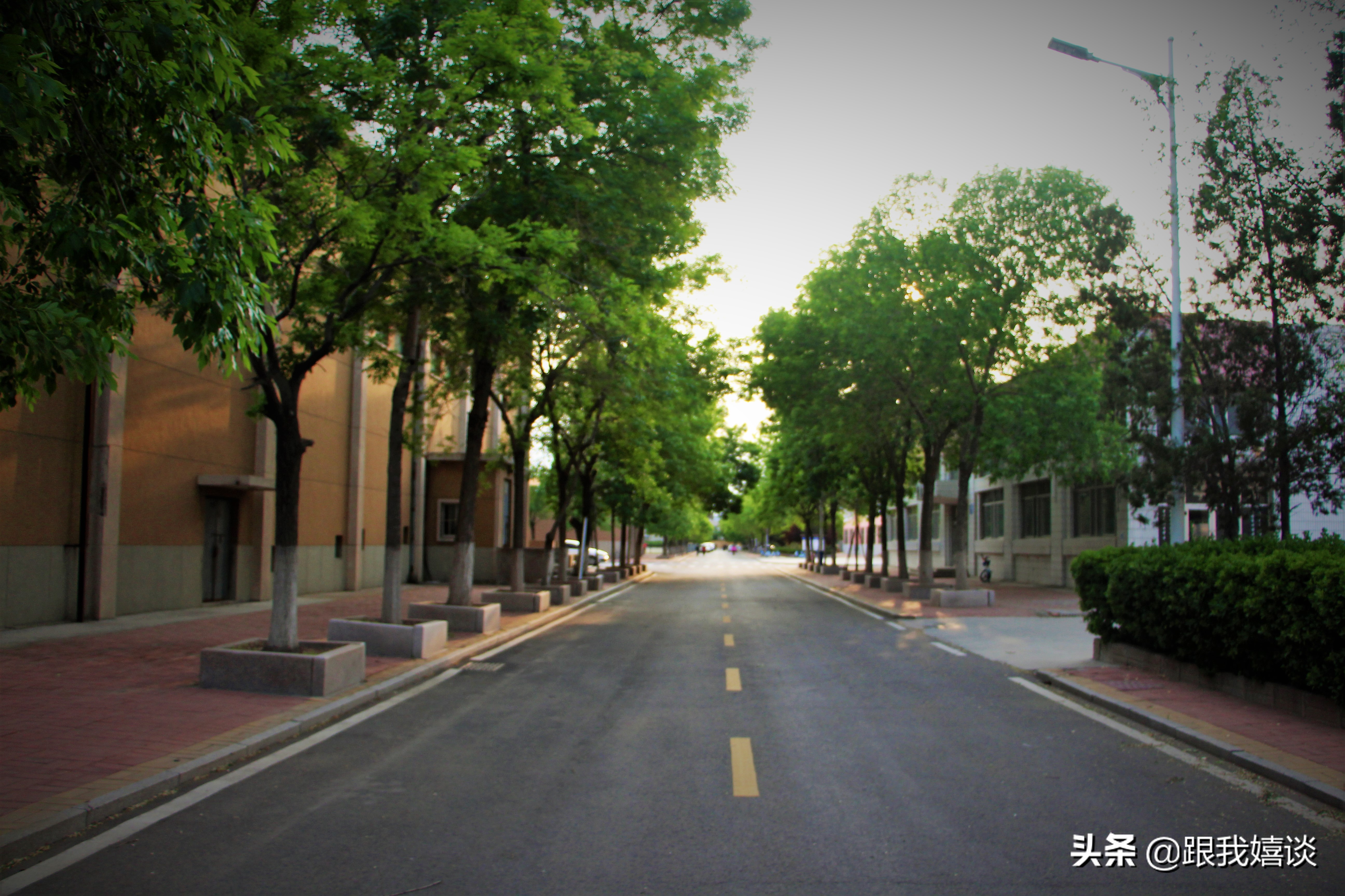 山东东营胜利学院是专科还是本科,东营胜利学院在山东省内大学排名