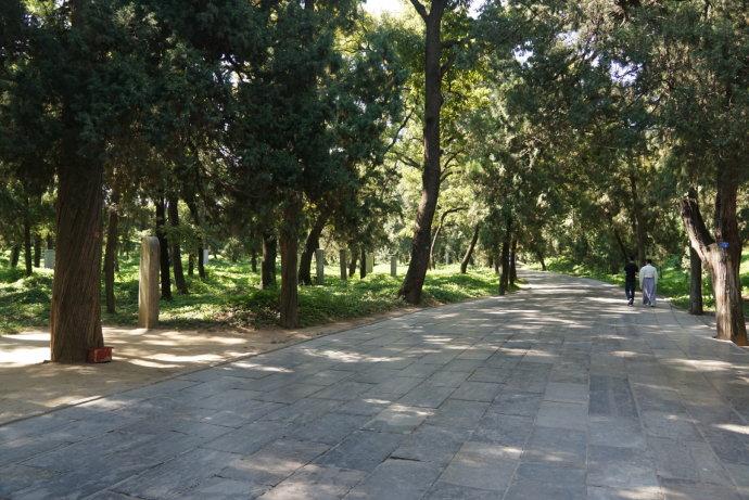 孔林是最大的氏族墓地吗,孔林各个时代的墓葬