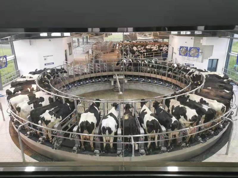 鍏ㄧ數濂剁墰,鍏ㄧ數鍏荤墰