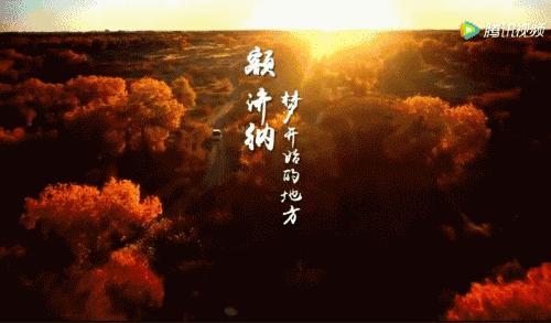 额济纳胡杨林自驾游详细攻略,宝鸡自驾往额济纳胡杨林攻略