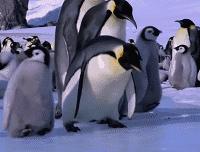 宝宝冬季头皮干燥头屑多怎么办,为什么头屑多了会导致头皮瘙痒