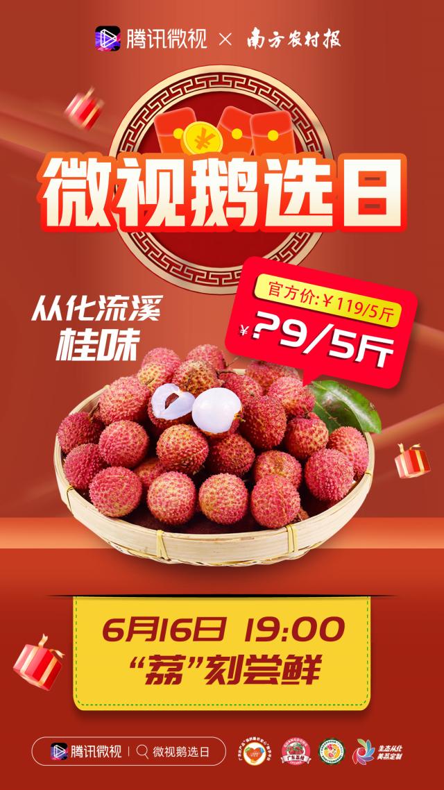 “荔”刻尝鲜，单日三场直播引追捧！从化荔枝亮相腾讯微视鹅选日活动