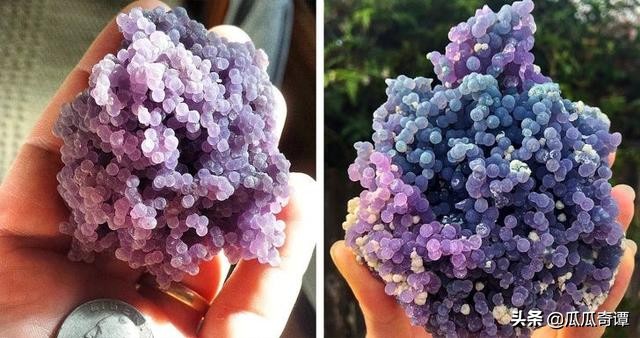 恶魔果实水果性能,恶魔果实图鉴108种属性