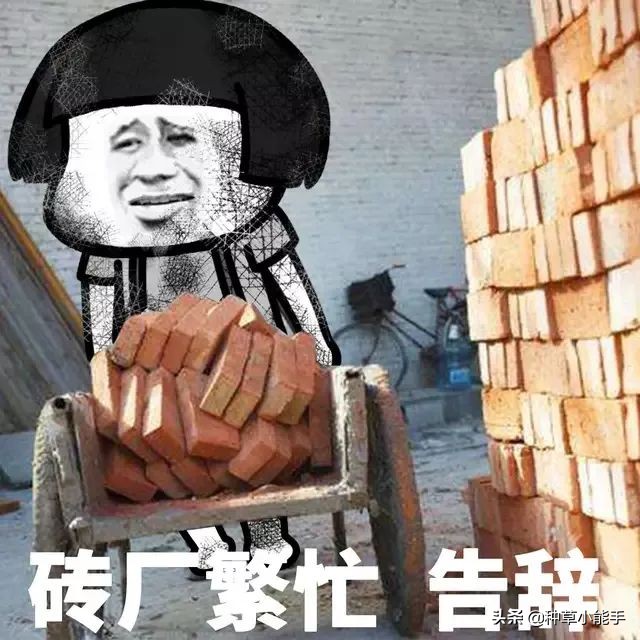 lamer哪款好用,lamer好用吗