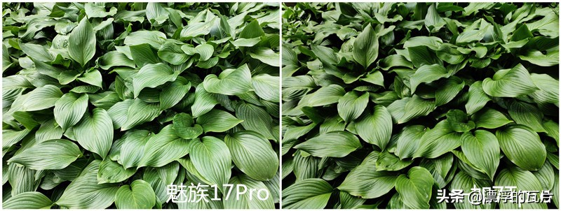 魅族17pro和oppofindx2pro,魅族17pro对比oppofindx2pro