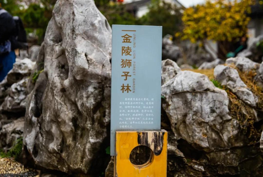 南京腊梅最佳观赏时间,南京赏梅花景点推荐