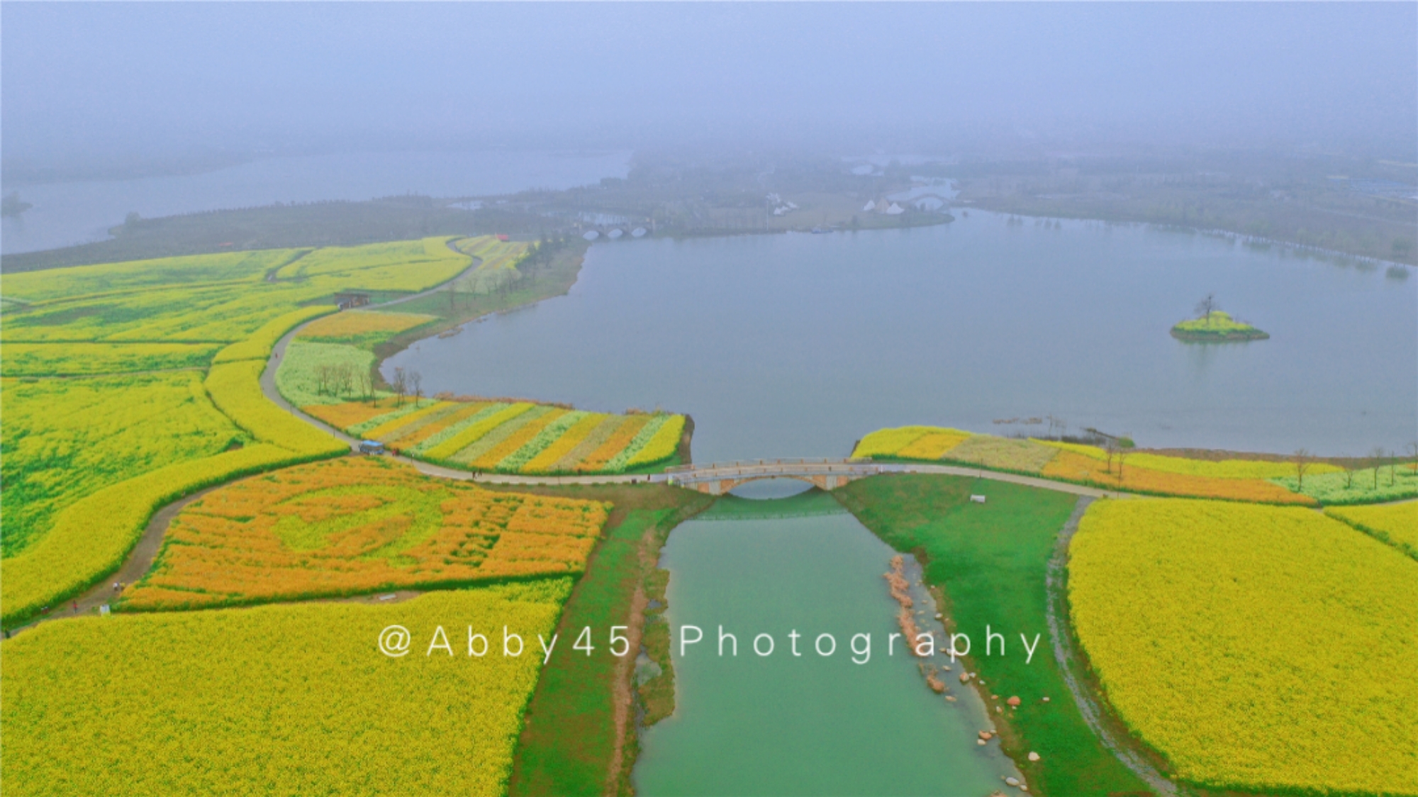 淮安四季花海,五一避开人群小众旅游地