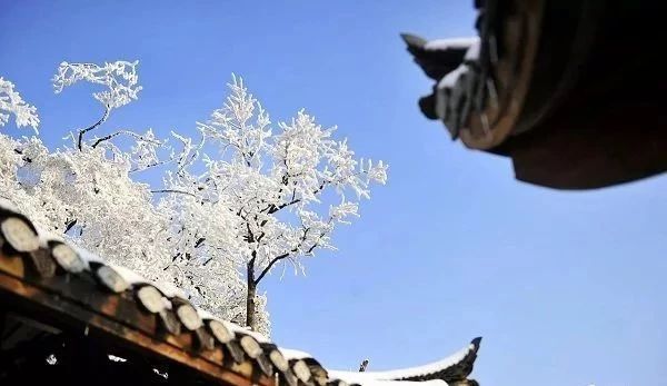 冬天去张家界好吗,张家界冬天去危险吗