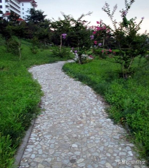 热爱生活从每日跑步开始,跑步让我感受健康和快乐