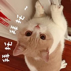 猫咪拉肚子吃蒙脱石散用量,猫咪绝育后拉肚子怎么回事