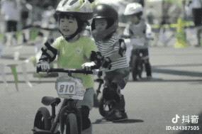 平衡车大摸底 (15款主流平衡车大摸底)