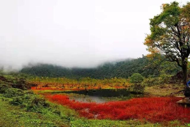 红了！黑竹沟迎颜值巅峰快去穿越五彩童话世界