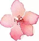 增高术三步骤大揭秘,增高治疗是骗人的吗