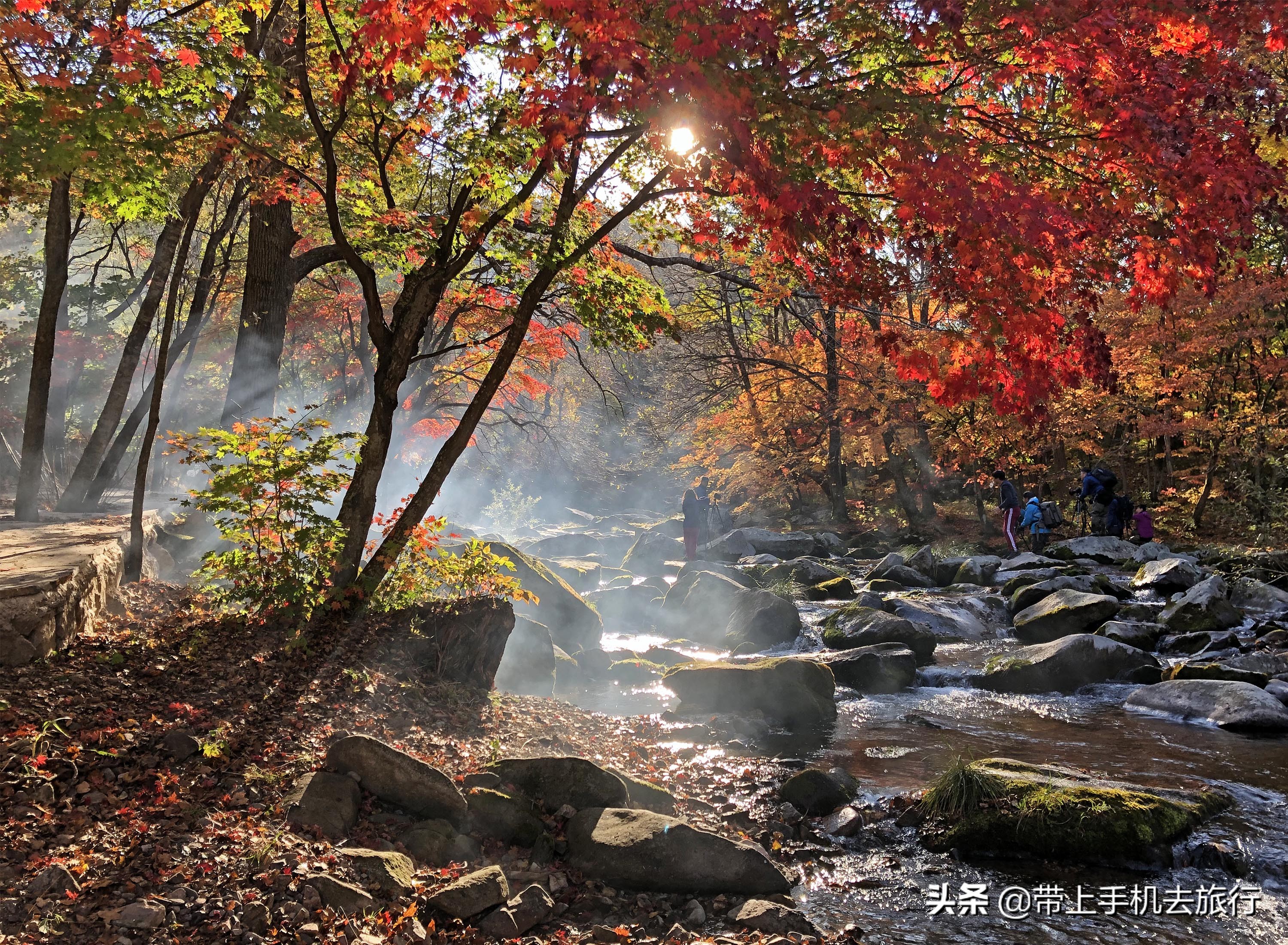 “减法”、虚化和“加法”，让画面瞬间干净简洁唯美