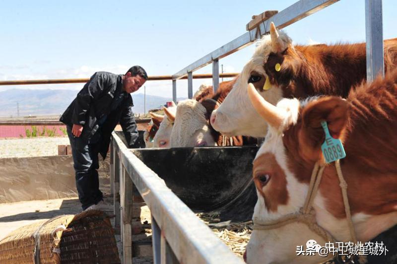 宁夏最穷人口最少的市,宁夏最富的县vs宁夏最穷的县