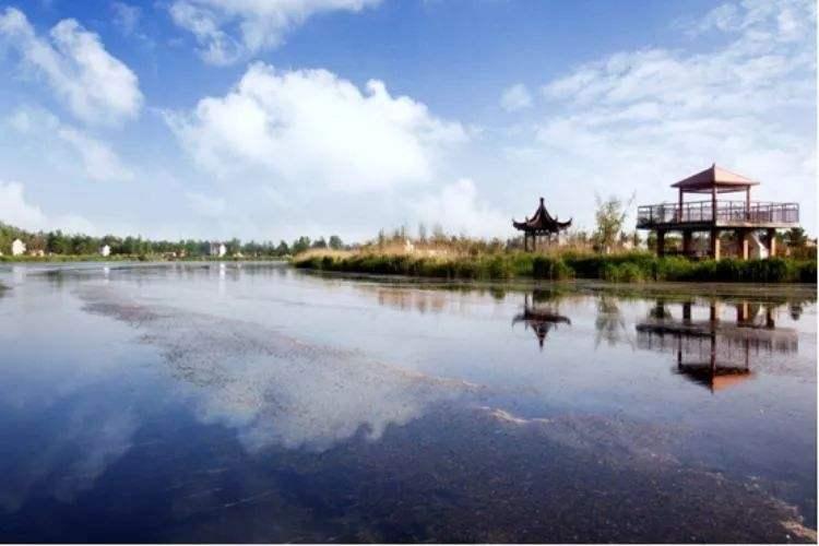 灌云有什么游玩的景点吗,灌云旅游景点推荐一日游