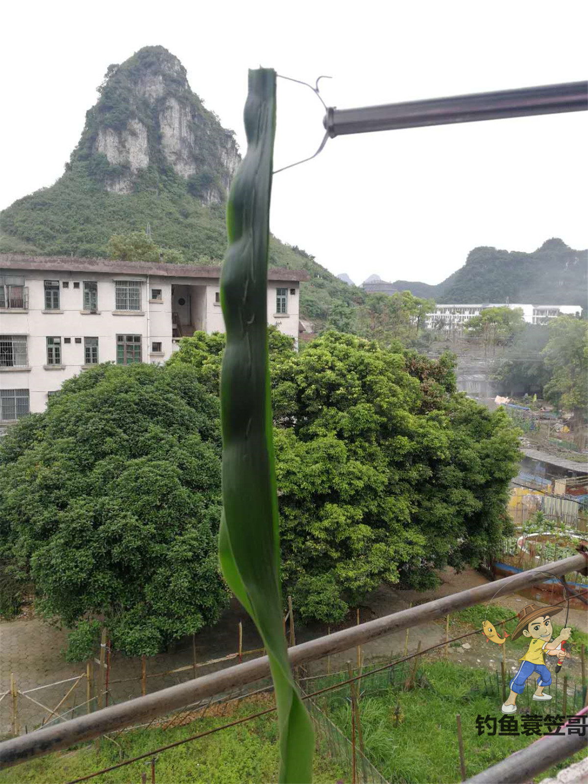 饵料挂钩的正确方法,如何开饵料挂钩效果最好