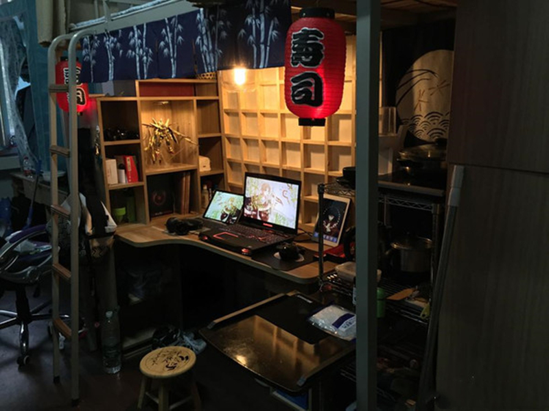 z涓栦唬鍏ヨ亴娲诲姩,z涓栦唬鍏ヨ亴