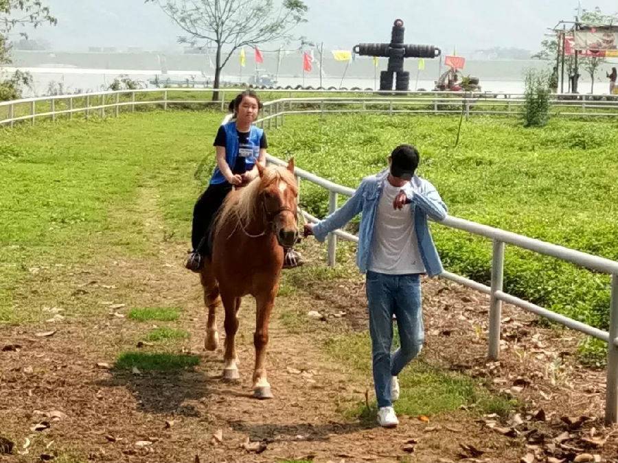 广东周围自驾游民宿推荐,广东旅游民宿推荐肇庆