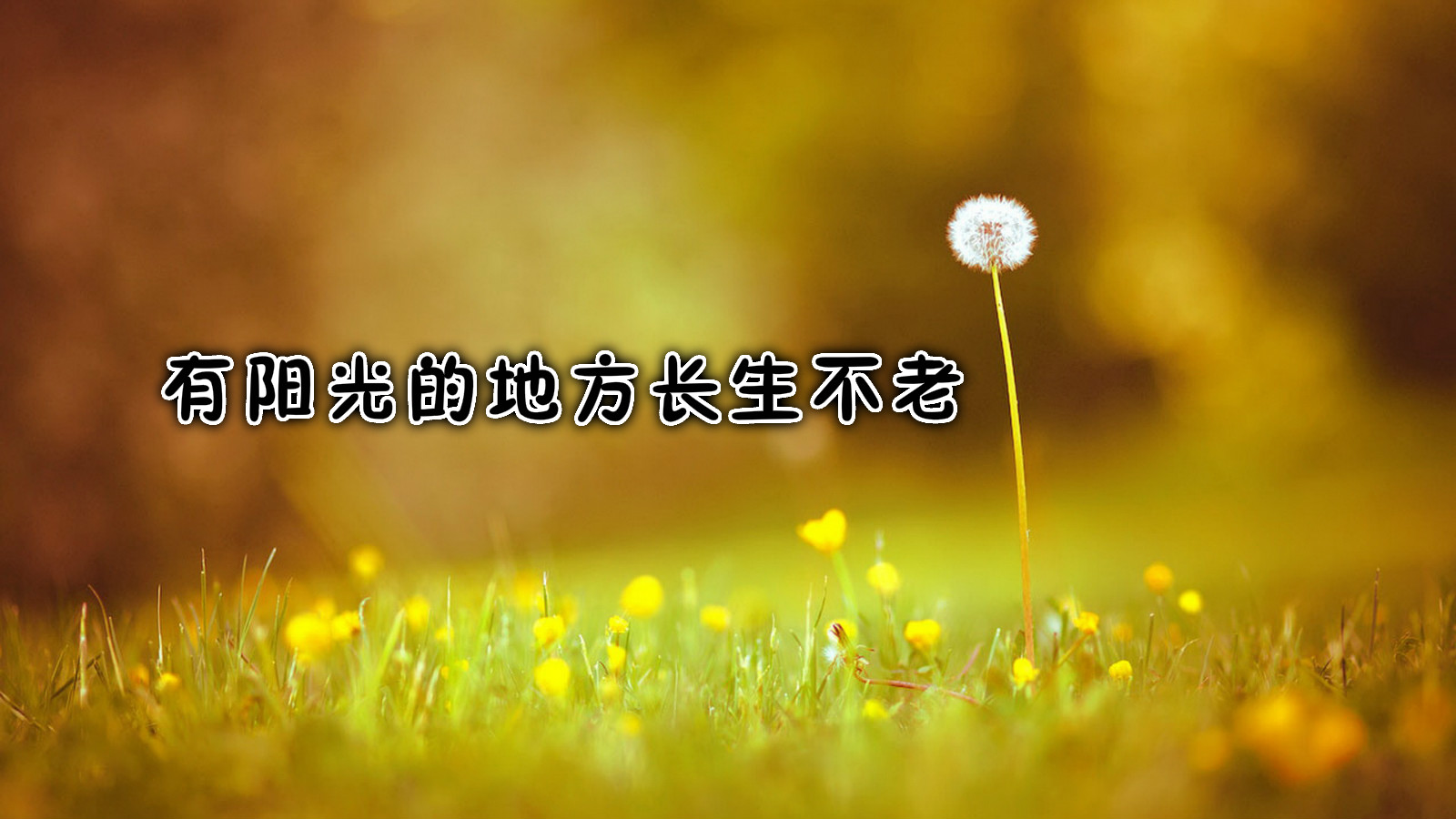 法院保释保证金会归还吗,法院判决了保释金一般多久退下来