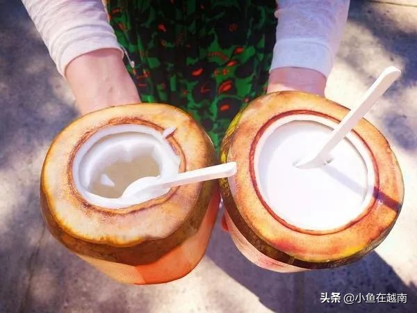 芽庄越南美食攻略,芽庄市中心美食攻略