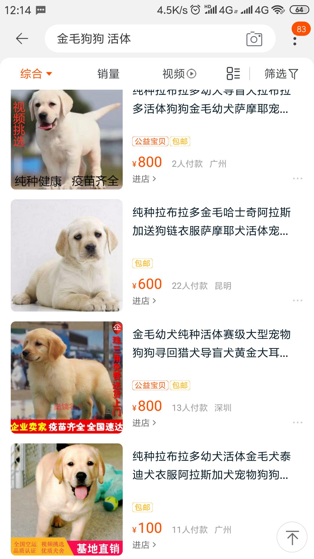 揭秘淘宝所售宠物不为人知的秘密