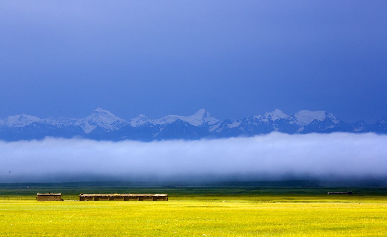 椋為┌鏂扮枂,椹伴獘鐤嗗煙鏃呮父