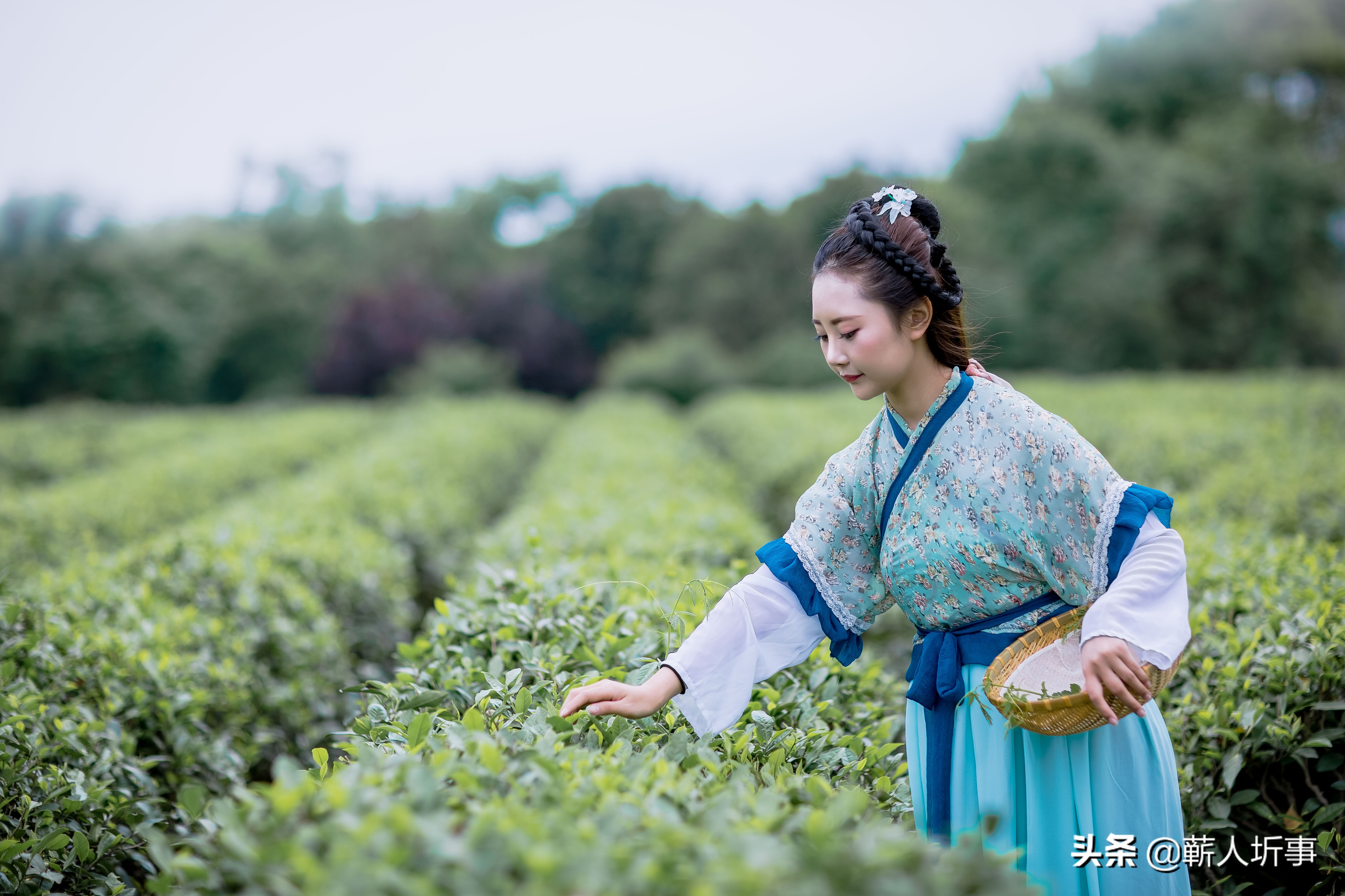 陈如诗词丨卷叶秋风瘦,吹开月上黄