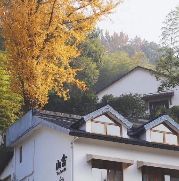 遇间播报|秋风拂杭州,阵阵桂香,满觉陇寻闲适,竟在山舍