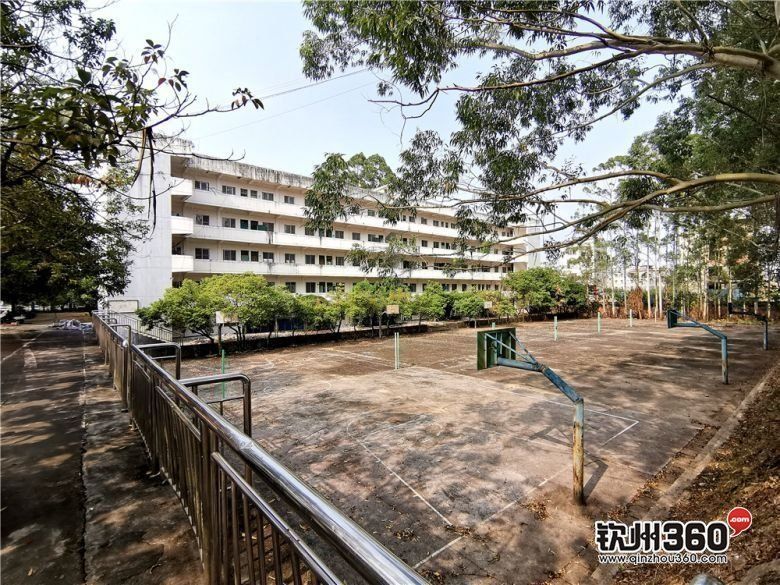 钦州高校,好消息高校招生