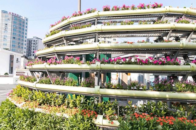 坐一趟4号线，打卡深圳19个热门游玩地！