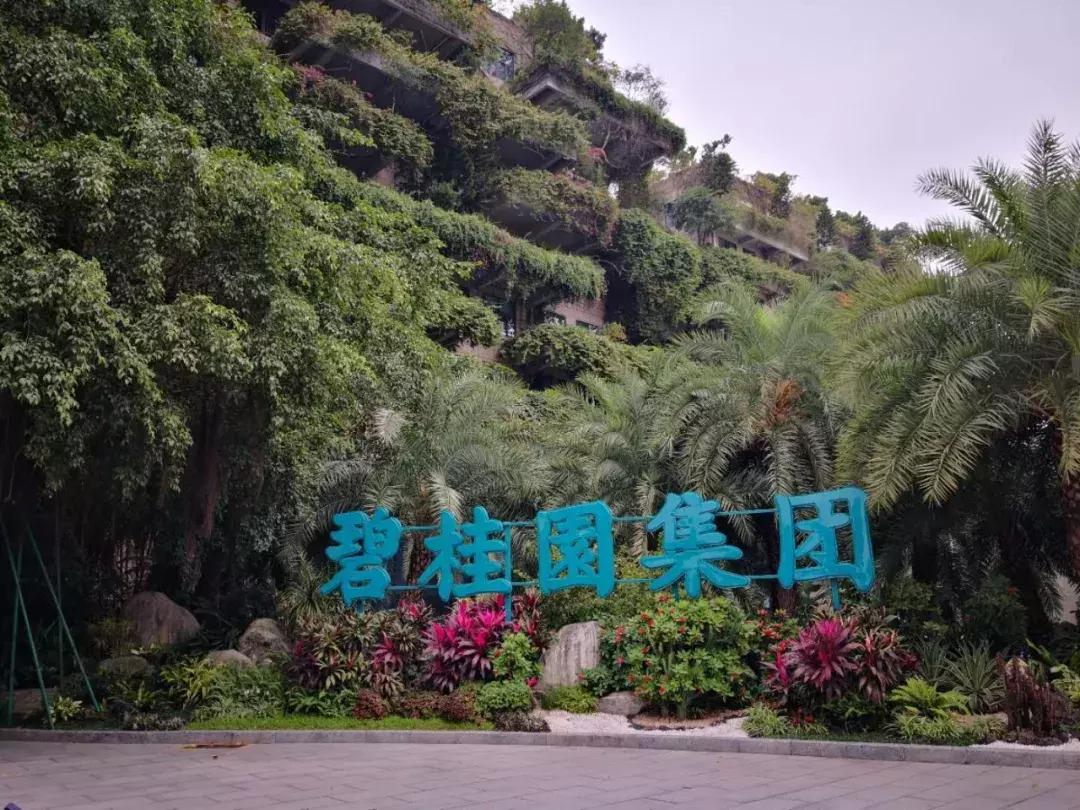 探秘北滘镇：藏着2家世界500强，有人靠打工身家数十亿