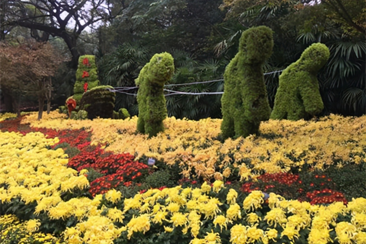 诗词讲解苏轼一生,古诗词苏轼经典讲解视频