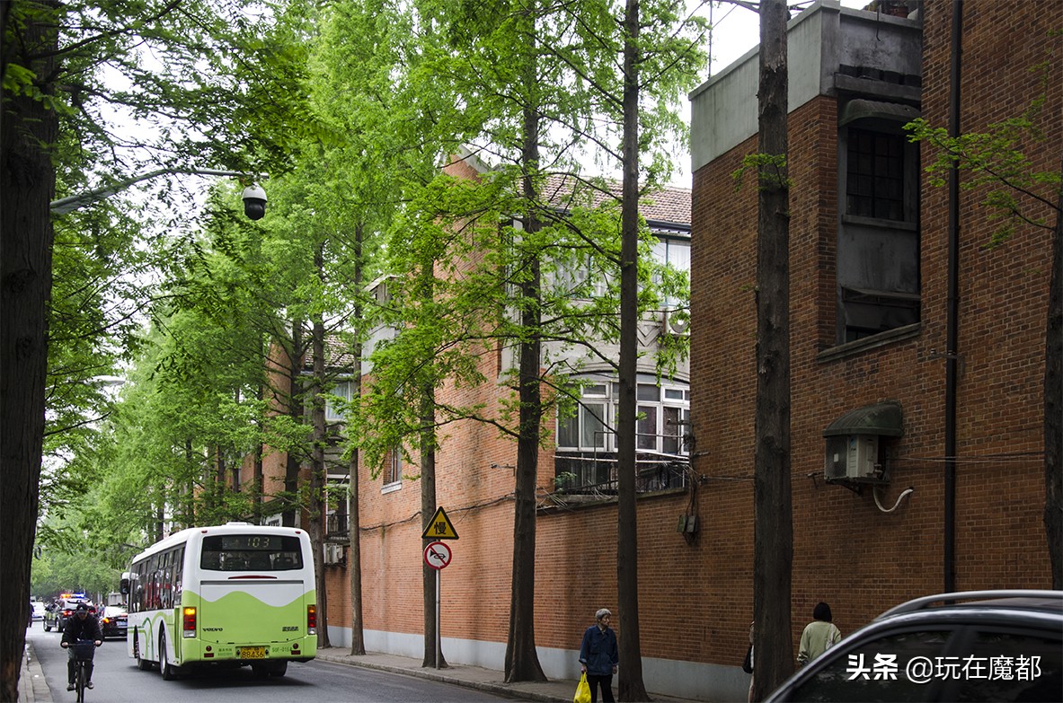 上海的这条路,魔都的街上的小姐姐