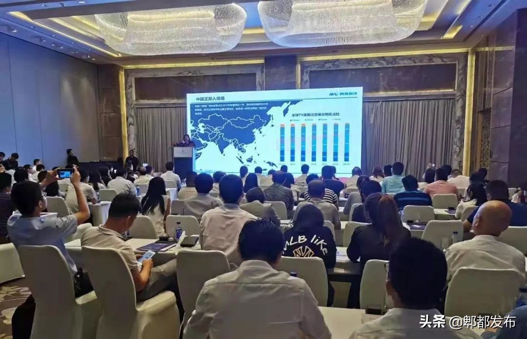 郫都区投资100亿重大项目,郫都区最大电子项目