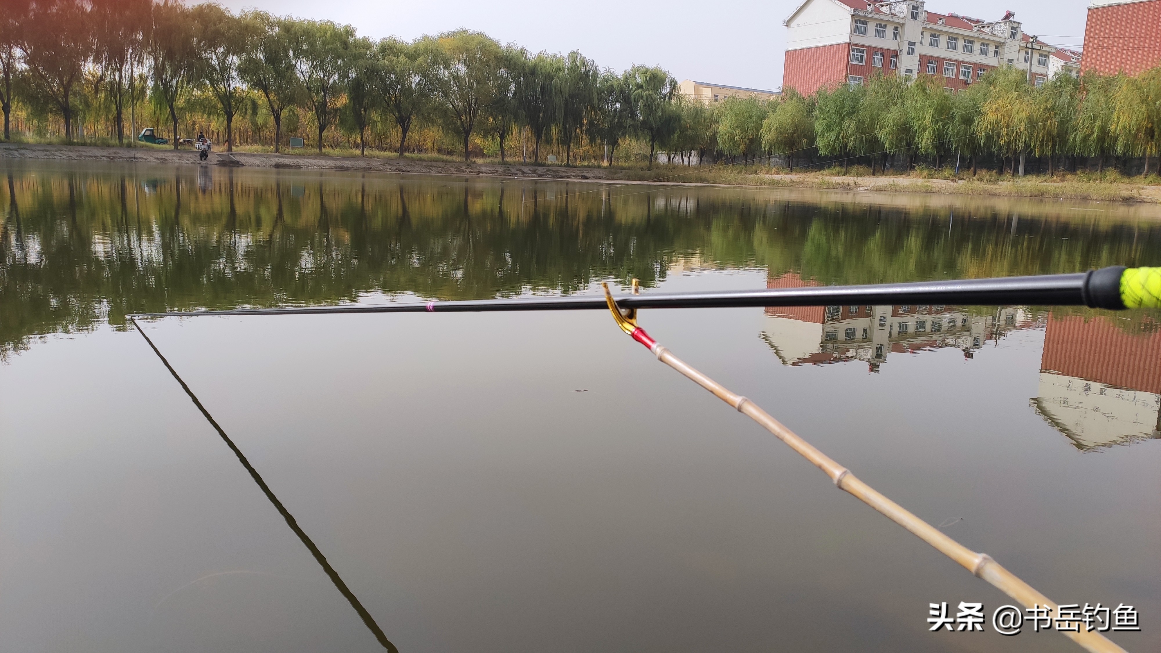 了解一下钓鱼的秘诀是什么,钓鱼小白条闹窝怎么解决