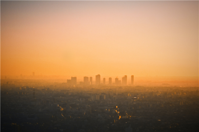 同路人老张聊网络创业,同路人老张