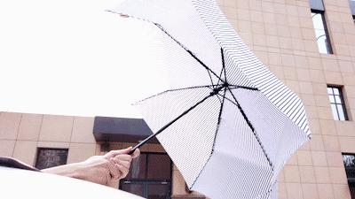 最厉害的一把伞,抗风能力超强自动伞
