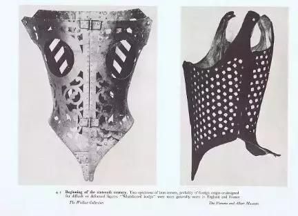 消失的减肥网红,400年前消失的垃圾