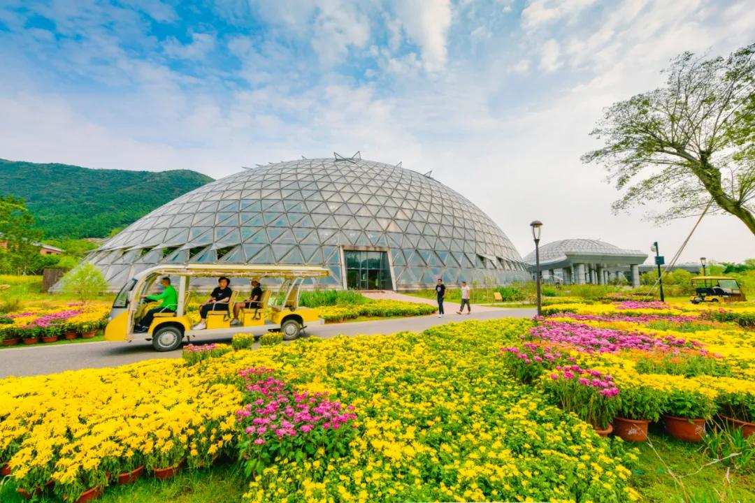 藏不住了！国庆苏州这片花海美哭了！大人小孩玩到不想走
