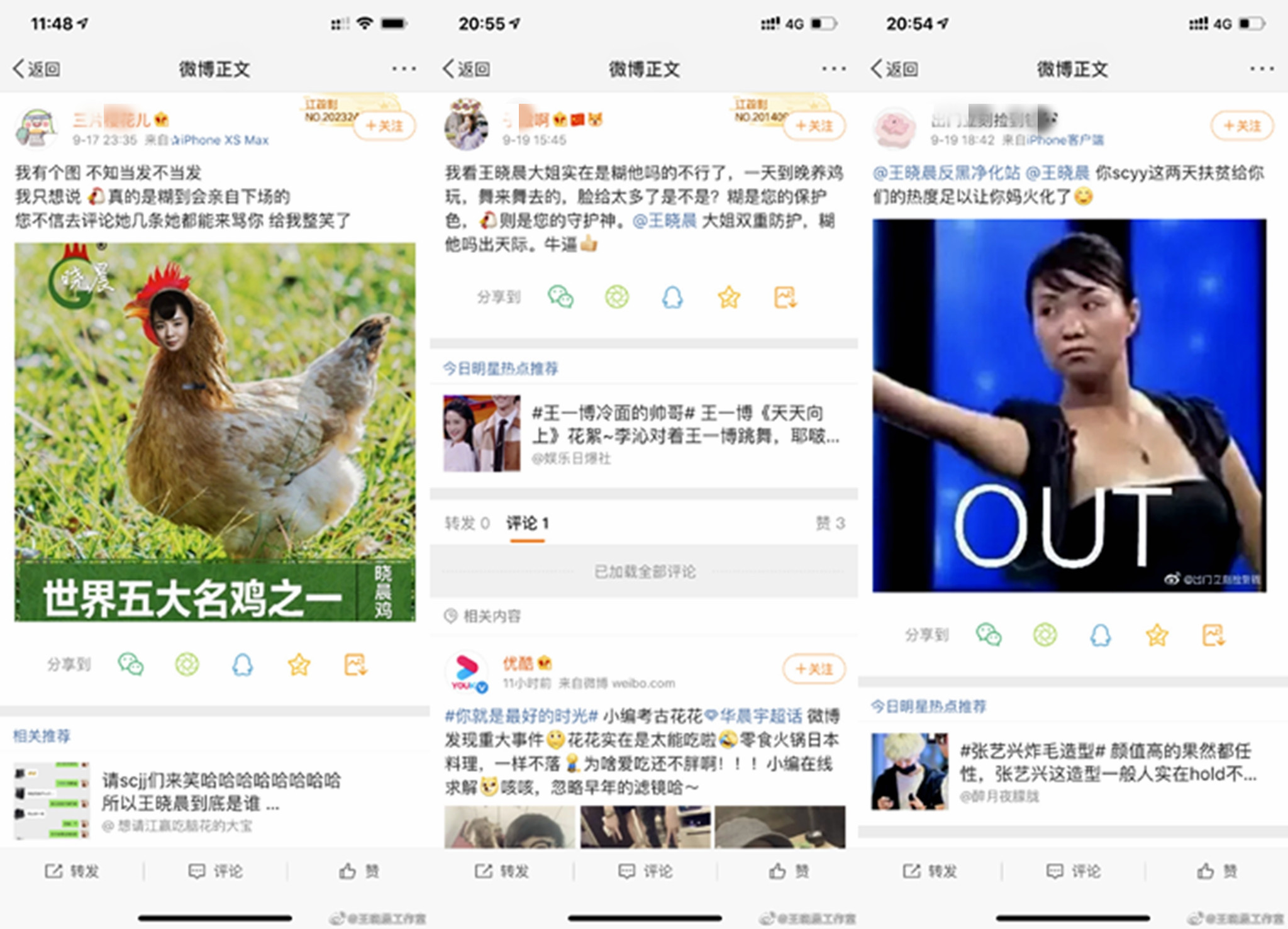 王晓晨绝世而独立,王晓晨是多少男人心中的女神