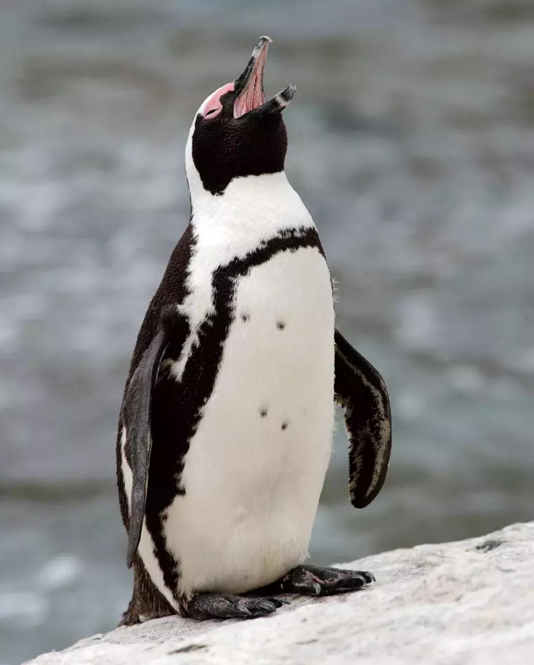 照片好不好看不重要姿势很重要,照片特别好看不知道该选哪个了