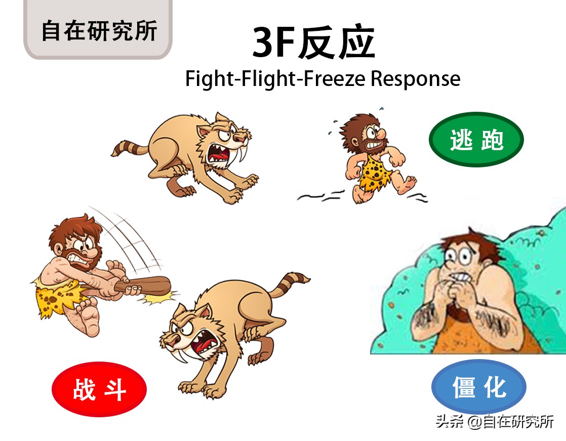 孩子爱哭闹发脾气还爱打人,孩子容易情绪激动易怒失控