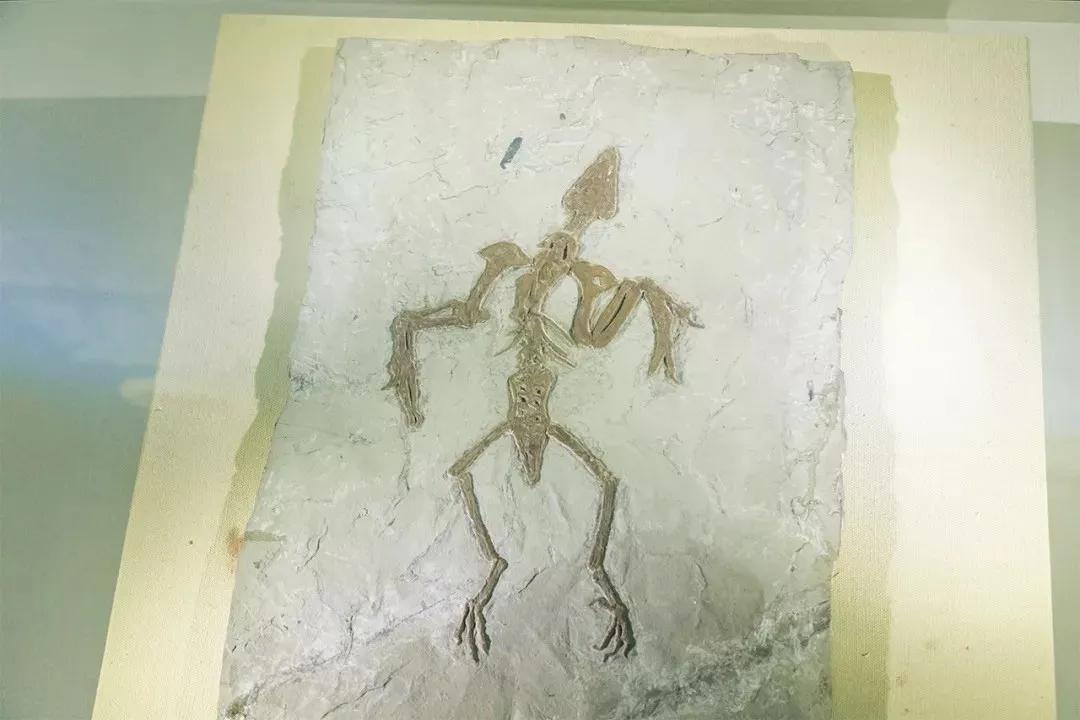 深圳宝安哪里有网红打卡的地方,深圳宝安打卡好玩的地方推荐