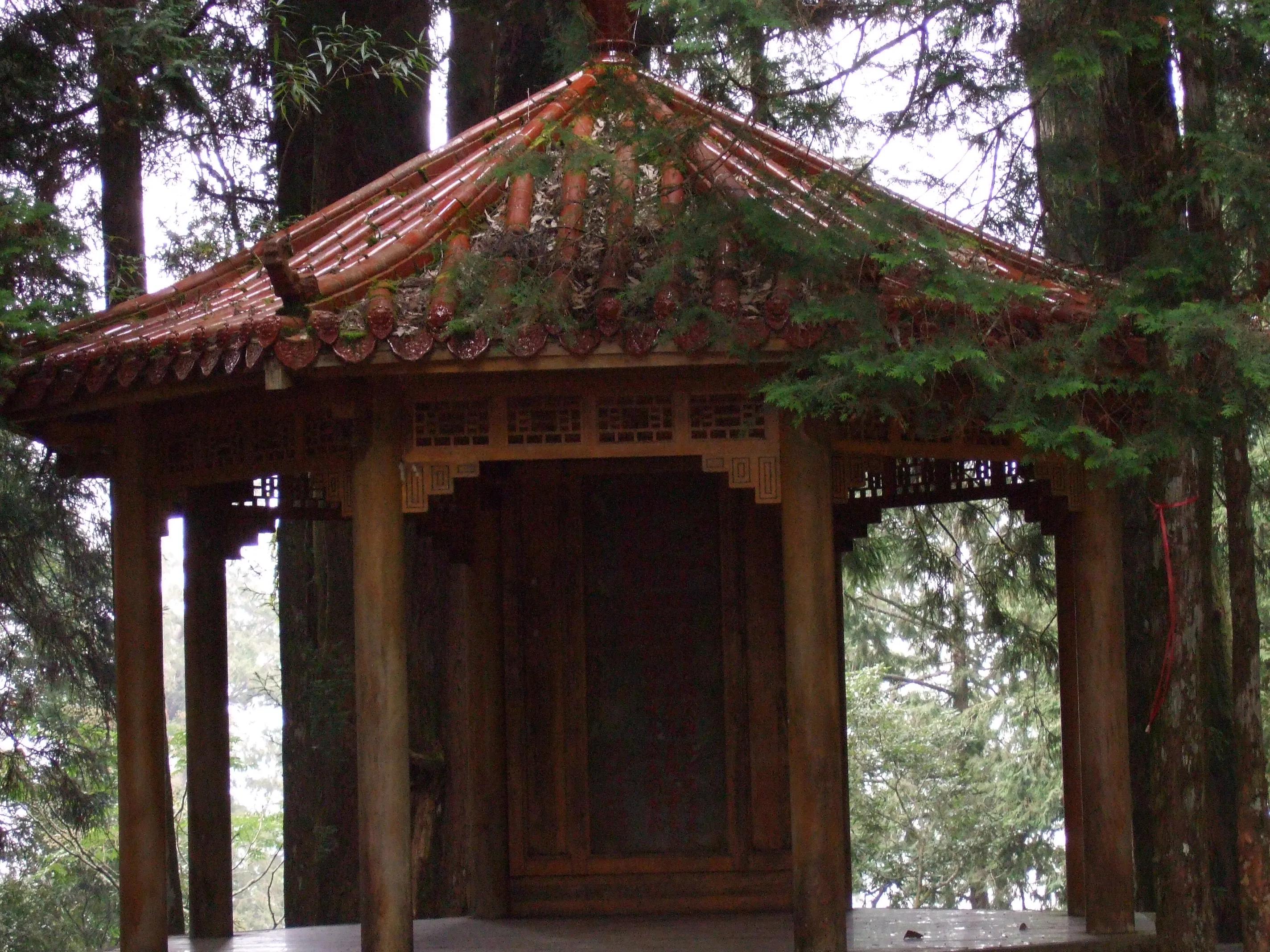 阿里山美丽动人的传说,阿里山的风光美如画