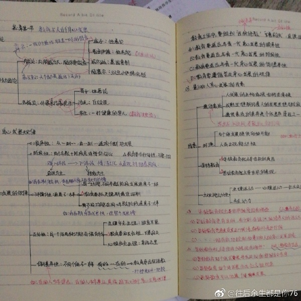 小猪佩奇怎么火的呀,小猪佩奇怎么火了