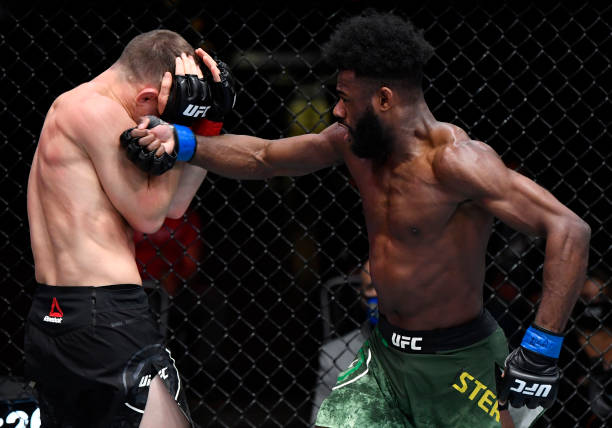 斯特林降服,斯特林被击败ufc