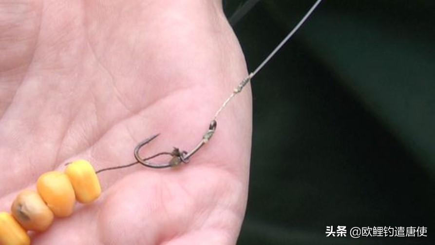 钓鱼也是一种技术,科学钓鱼的基本原理