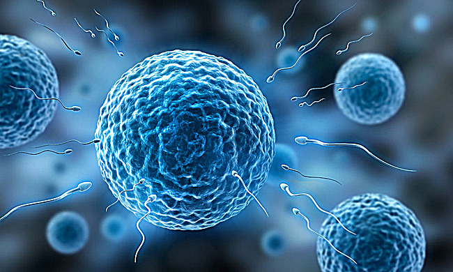 男生一般什么原因会造成不能生育,男的不能生育的原因有哪些