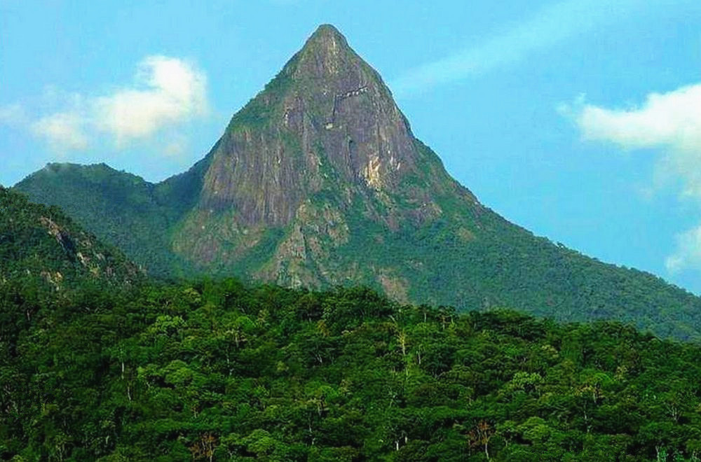 海南乐东环境怎么样,海南的乐东适合居住吗